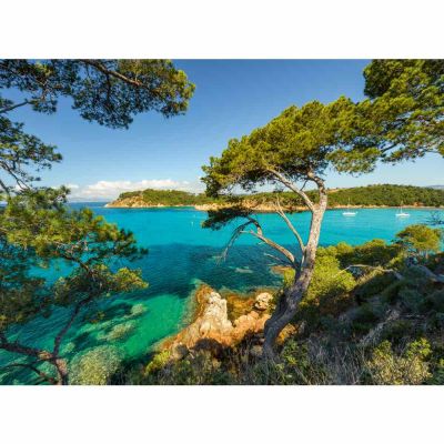 Ravensburger - Puzzle priveliste superba 500 piese design nou ARTRVSPA00219