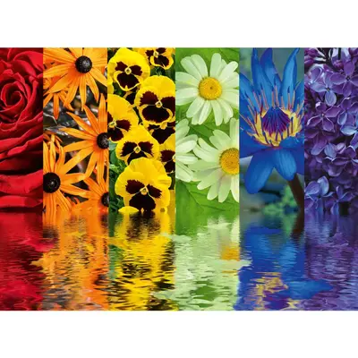 Ravensburger - Puzzle reflexia florilor 500 piese design nou ARTRVSPA00213