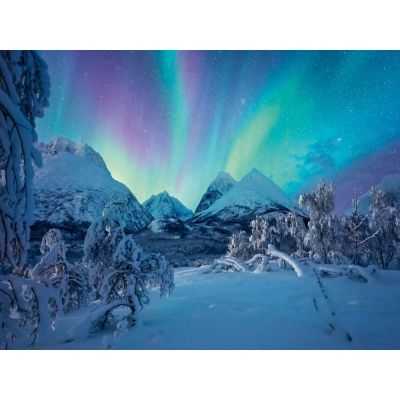 Ravensburger - Puzzle spectacol arctic 1500 piese ARTRVSPA00802