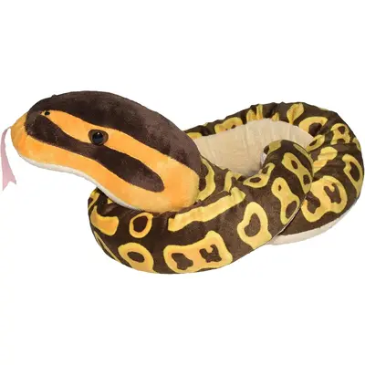 Sarpe ball python wr20728