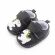 Pantofiori negri pentru baietei - Dino (Marime Disponibila: 3-6 luni (Marimea 18 incaltaminte)) LId2659-5-sa23