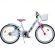 Bicicleta copii Dino Bikes 20' LOL HUBDB-204R-LOL
