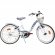 Bicicleta copii Dino Bikes 20' Snow Queen HUBDB-204R-SQ