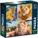 Puzzle Lion family, 47x67 cm, 1000 piese De.tail DT1000-01 BBJDT1000-01_Initiala