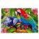 Puzzle Parrots, 32x47 cm, 500 piese De.tail DT500-01 BBJDT500-01_Initiala