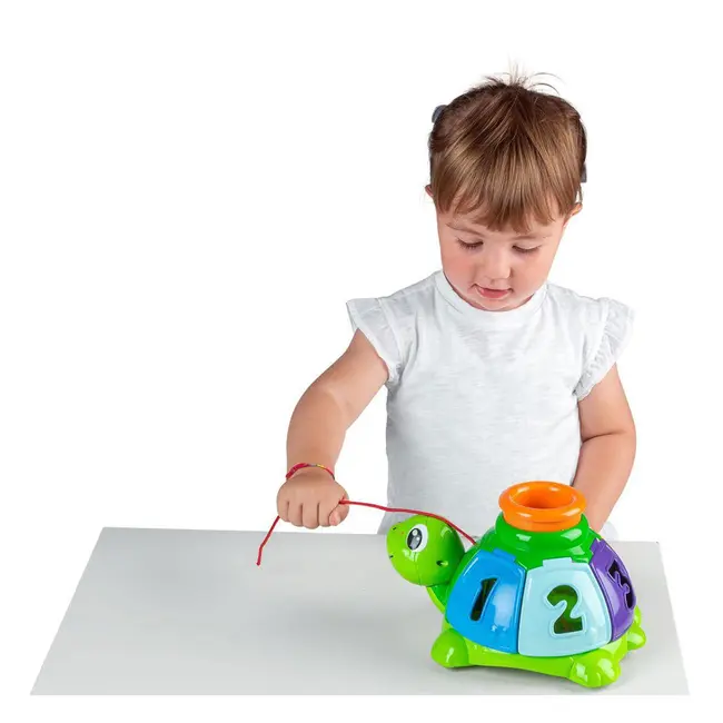 Jucarie 2 in 1 Chicco broscuta testoasa sorteaza si surprinde, 1-4ani CHC10622-1