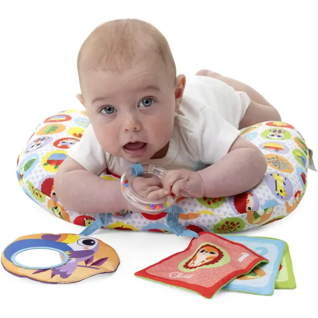 Jucarie pernuta Chicco pentru animalute Tummy time, 2-9luni CHC11351-1