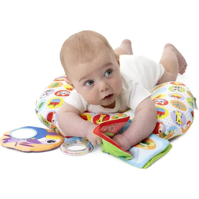 Jucarie pernuta Chicco pentru animalute Tummy time, 2-9luni CHC11351-1