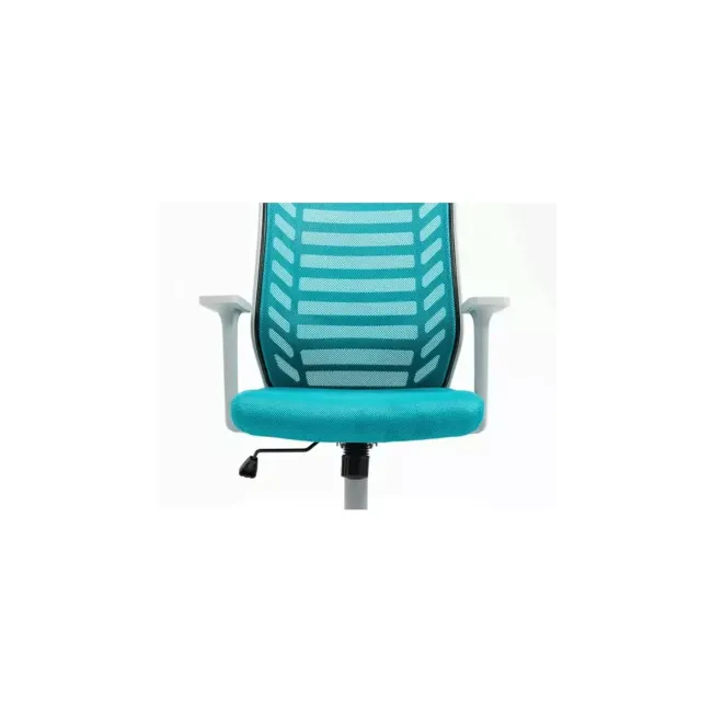 Scaun birou egonomic sl q320, mesh, mecanism inclinare, baza polipropilena, suport lombar, roti cauciucate, 90 kg, albastru/gri drm10378