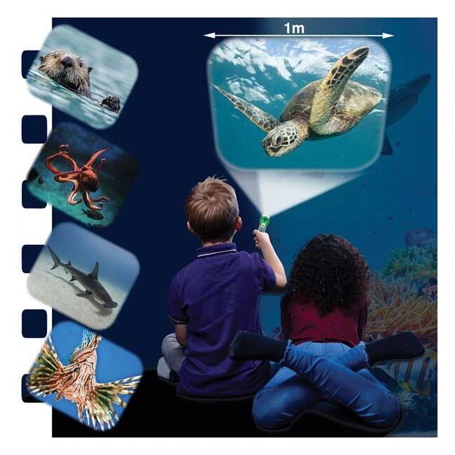 Proiector tip lanterna - animalute marine