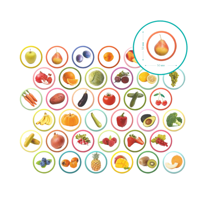 Set magneti montessori - fructe si legume