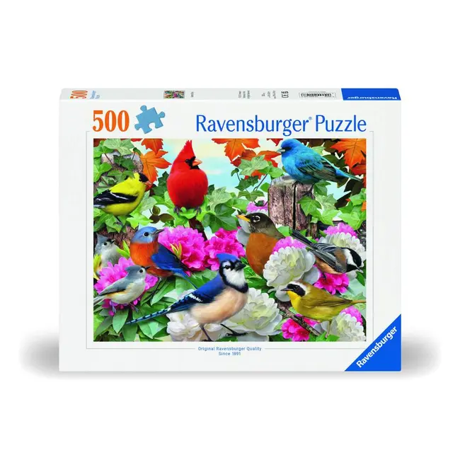Ravensburger - Puzzle pasari 500 piese design nou ARTRVSPA00147