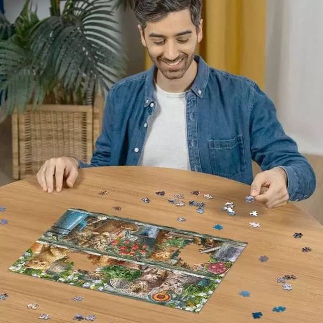 Ravensburger - Puzzle pisici pe raft 500 piese design nou ARTRVSPA00205
