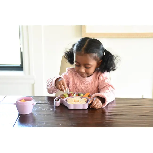 FARFURIE COMPARTIMENTATA DIN SILICON CU VENTUZA, MELII, PISICA VIVML17600