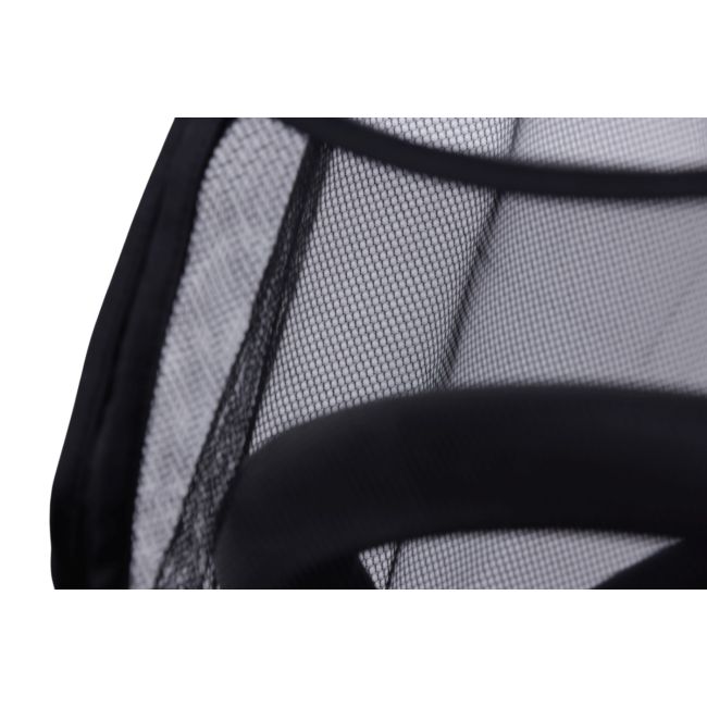 PLASA INSECTE CARUCIOR HAMILTON VIVHAM065306