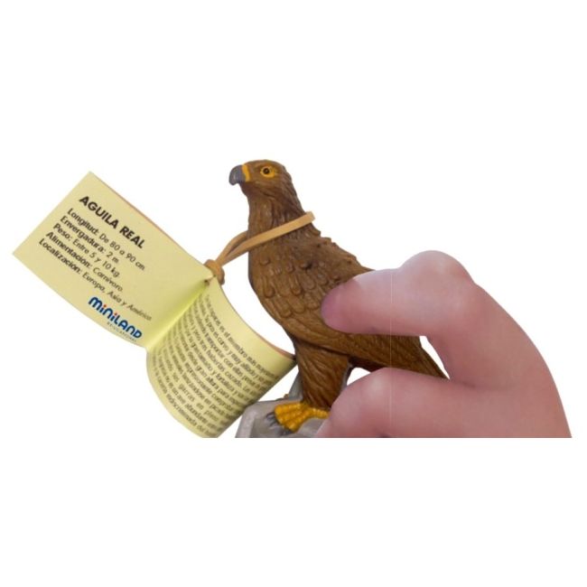 Animale din padure miniland 8 figurine ml25126