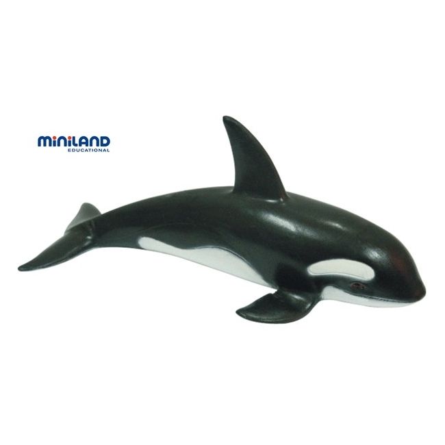 Animale marine set de 8 figurine - miniland ml27460