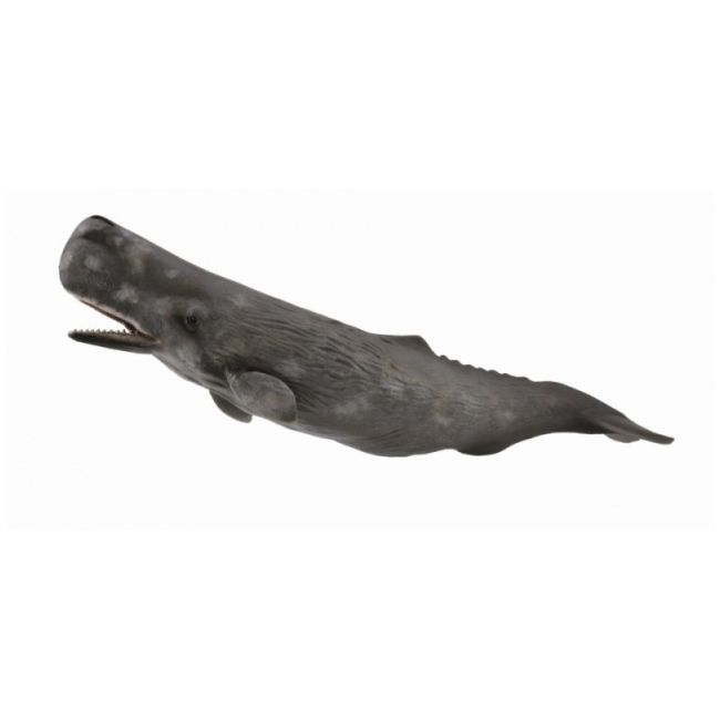 Balena casalot - collecta col88835xl