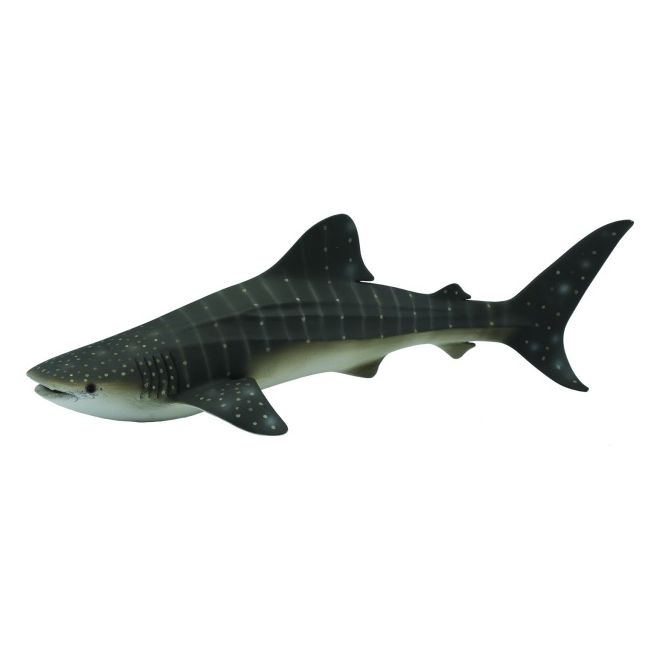 Balena rechin - collecta col88453xl