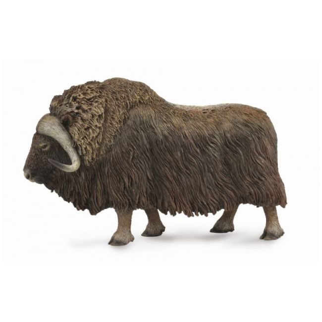 Bivol - collecta col88837l
