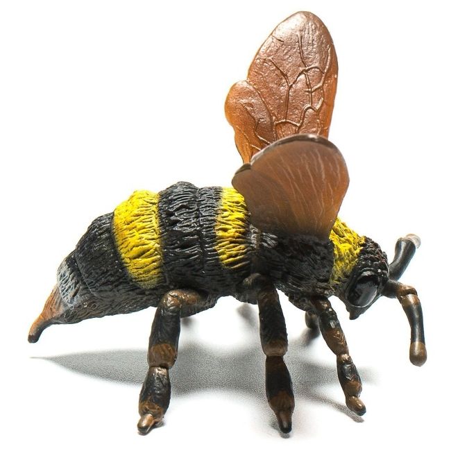 Bondar - collecta col88499l