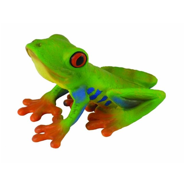 Broasca cu ochii rosii - collecta col88386m
