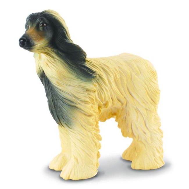 Caine afghan - collecta col88173l