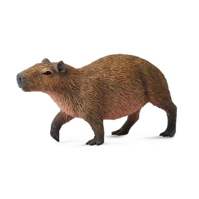Capibara- collecta col88540m