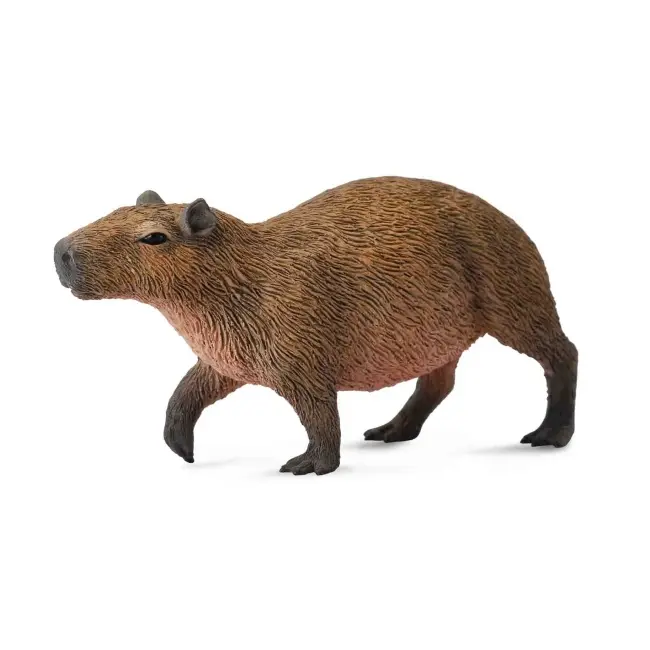 Capibara- collecta col88540m