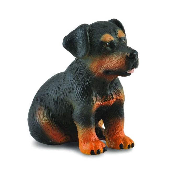 Catelus rottweiler - collecta col88190s
