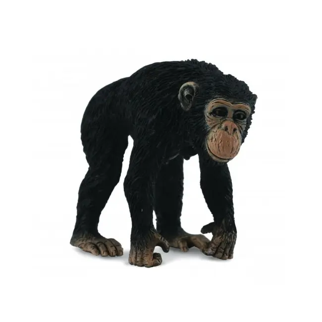 Cimpanzeu femela - collecta col88493m