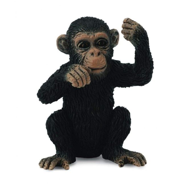 Cimpanzeu pui - collecta col88495s