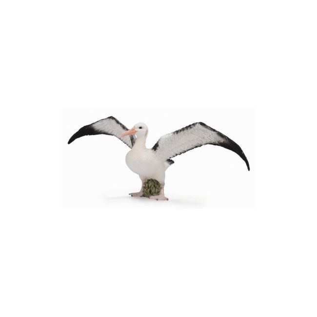 Figurina albatros ratacitor l collecta col88765l