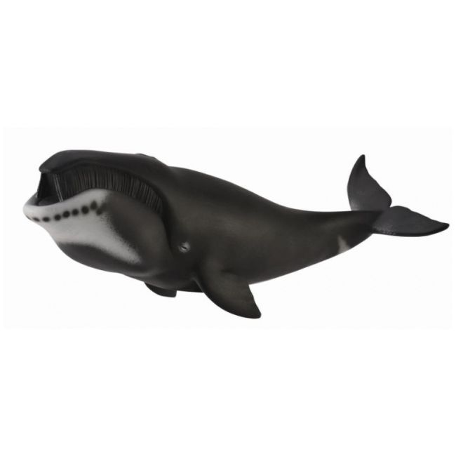 Figurina balena bowhead xl collecta col88652xl