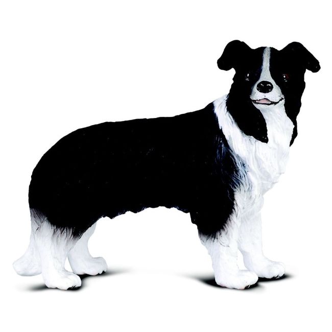 Figurina border collie col88010m