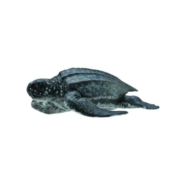 Figurina broasca testoasa de mare m collecta col88680m
