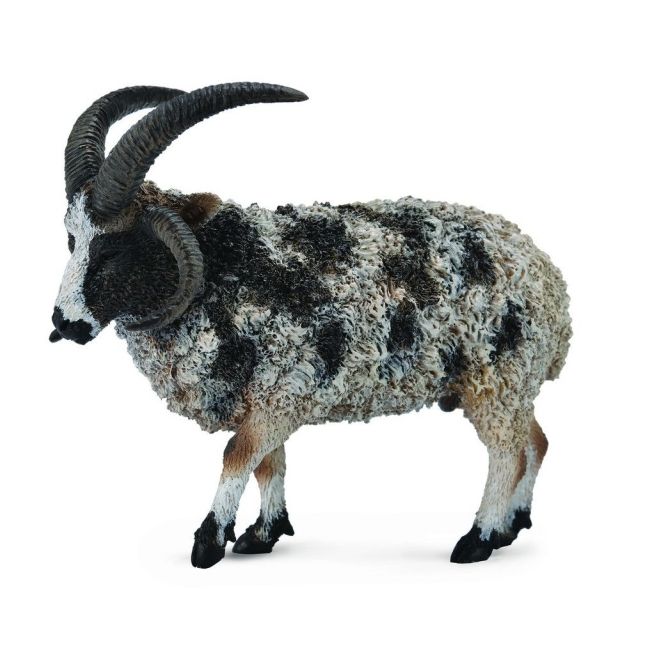 Figurina jacob sheep l collecta col88728l