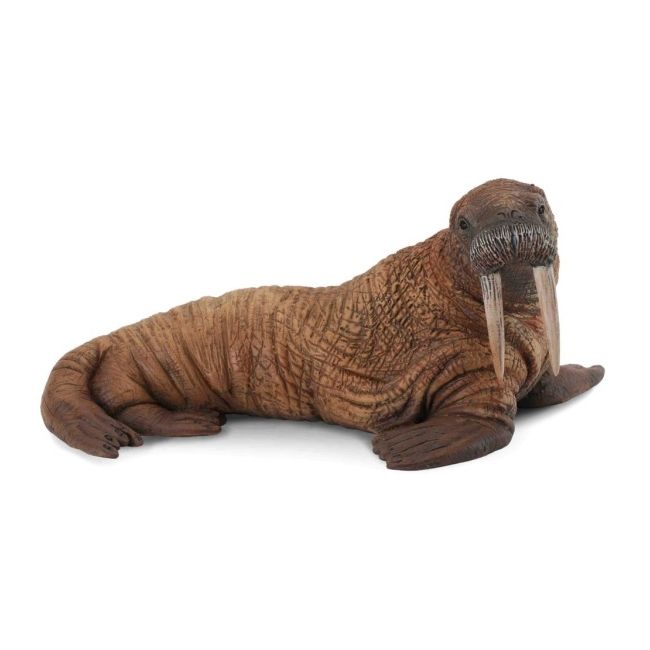 Figurina morsa l collecta col88569l