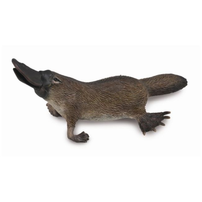 Figurina platypus m collecta col88795m