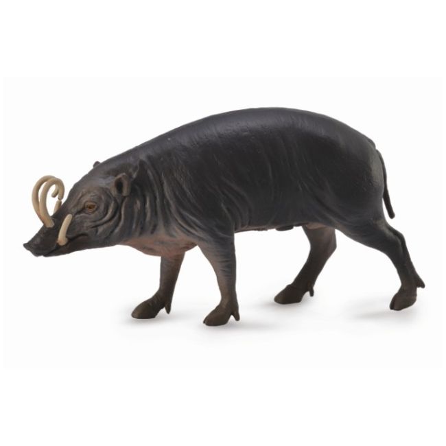 Figurina porc sulawesi babirusa l collecta col88727l