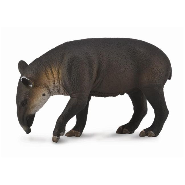 Figurina tapir baird l collecta col88596l
