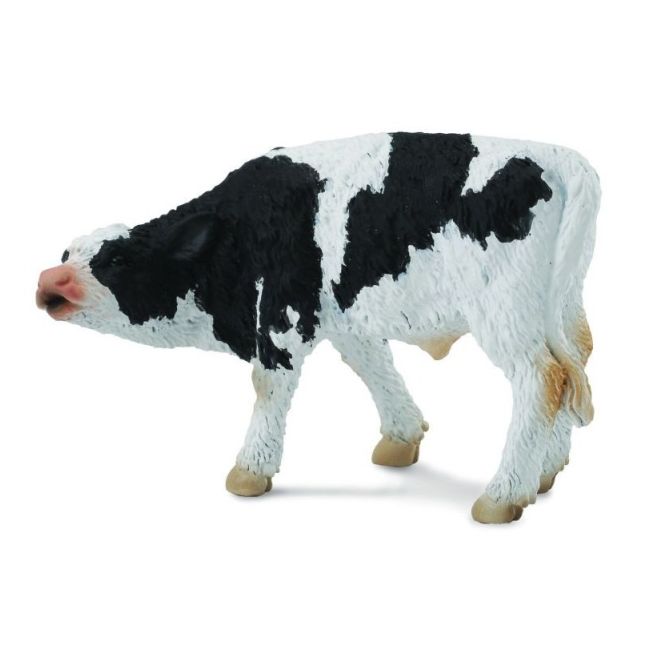 Friesian pui - collecta col88484s