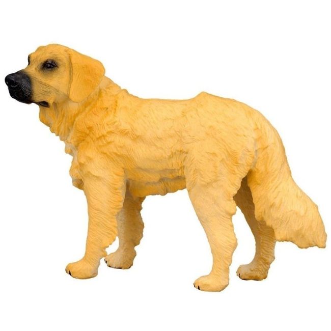 Golden retriever m collecta col88116m