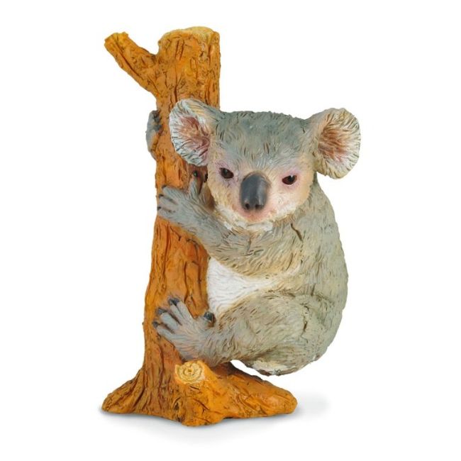 Koala - collecta col88356m