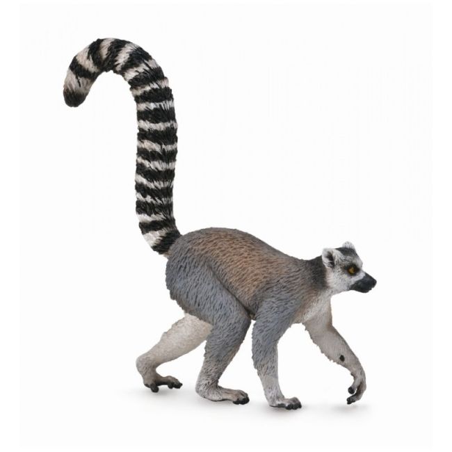 Lemur cu coada-inel - collecta col88831m