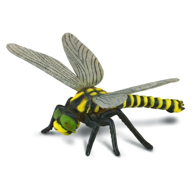 Libelula - collecta col88350l