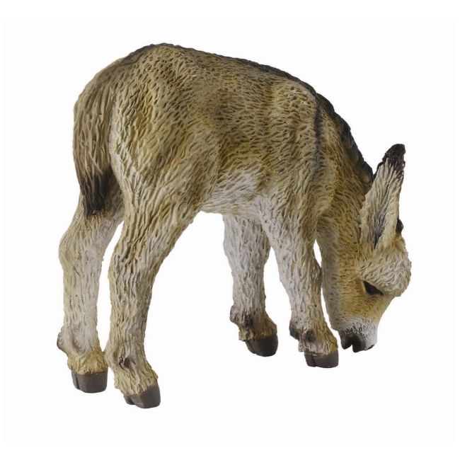 Manz la pascut - collecta col88408s