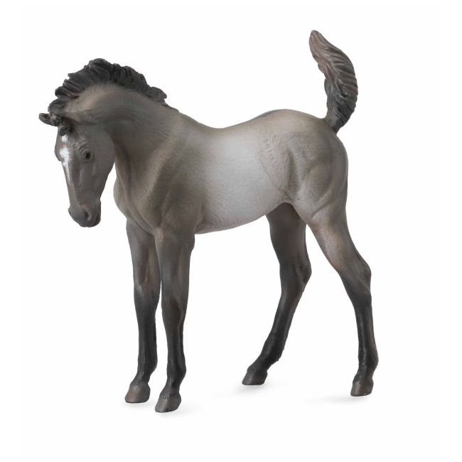 Mustang - grulla manz col88546m