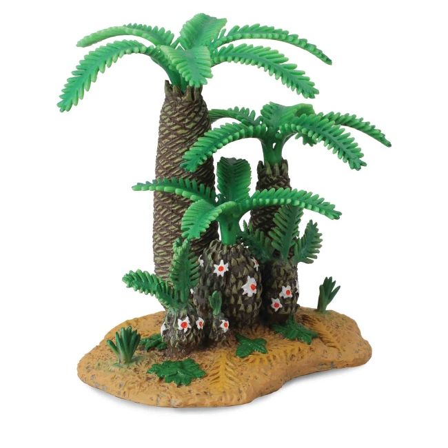 Plantele monanthesia si cycadeoidea - collecta col89403cb