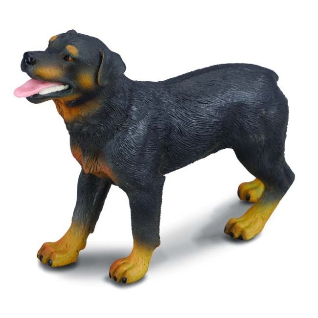 Rottweiler - collecta col88189l